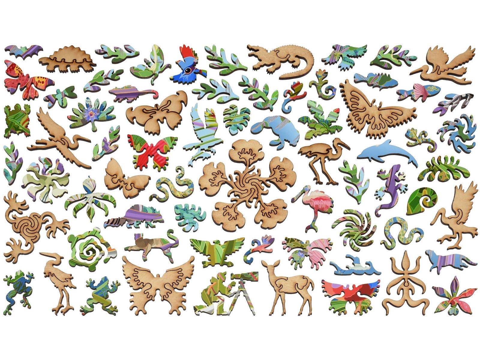 Spring in the Everglades, Florida Puzzle - Joy Gift Shoppe