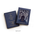 Starry Lights Boxed Card Set - Joy Gift Shoppe