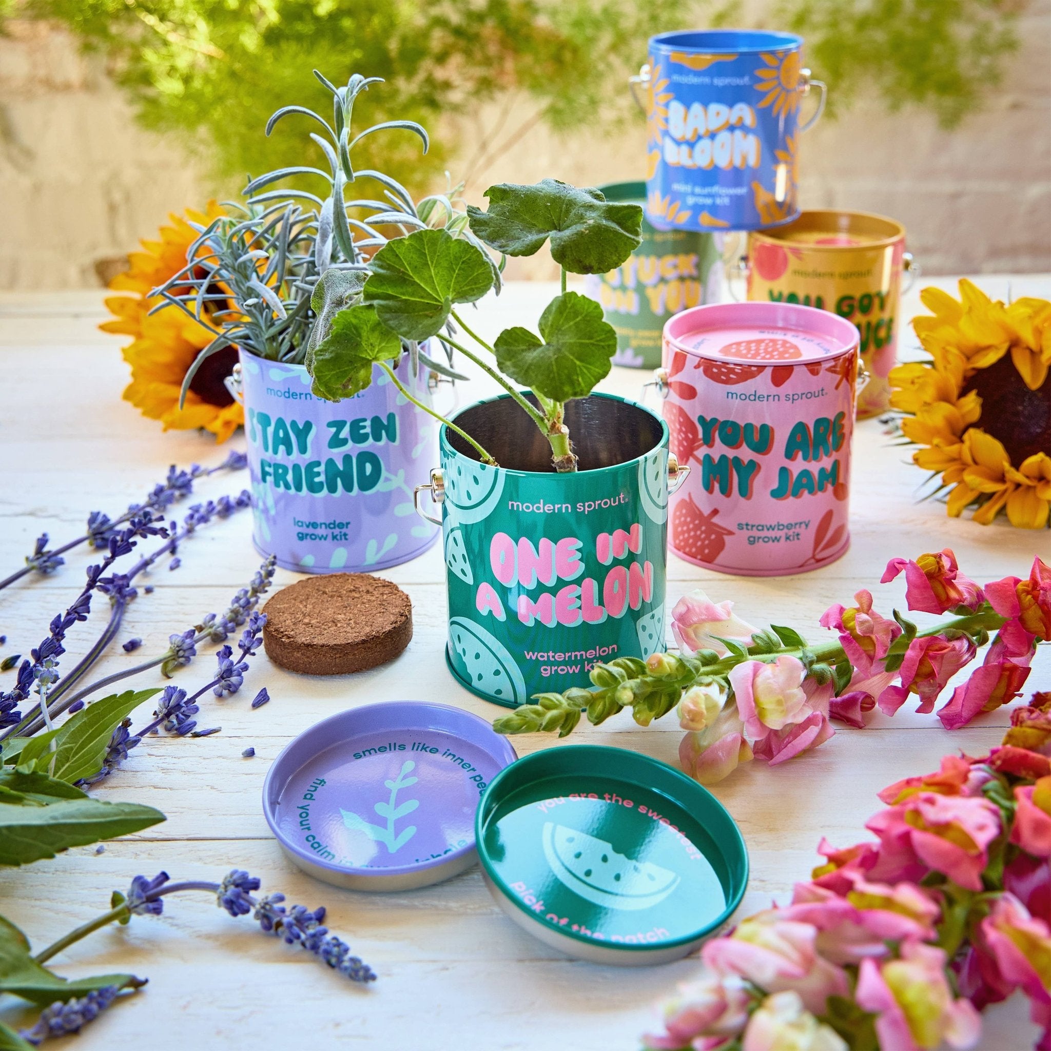 Stay Zen Friend - Lavender Grow Kit - Joy