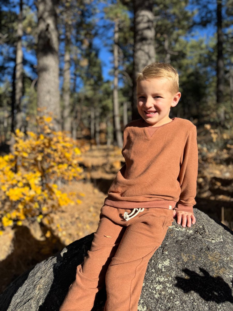 TARQUIN Brown Sweatshirt - Boys - Joy