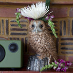 Tawny Owl Flower Vase - Joy