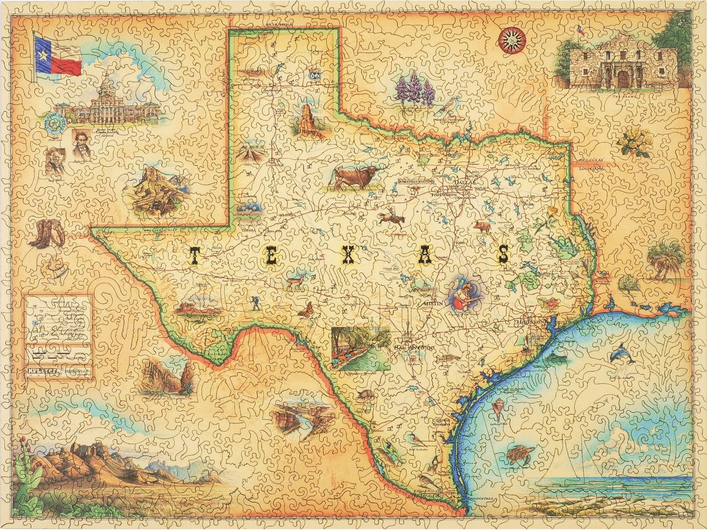 Texas Map Puzzle - Joy