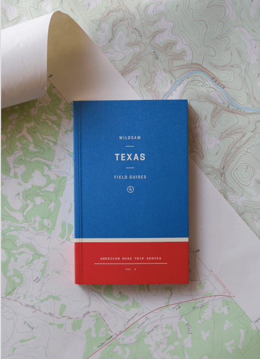 Texas Road Trip Guide - Joy