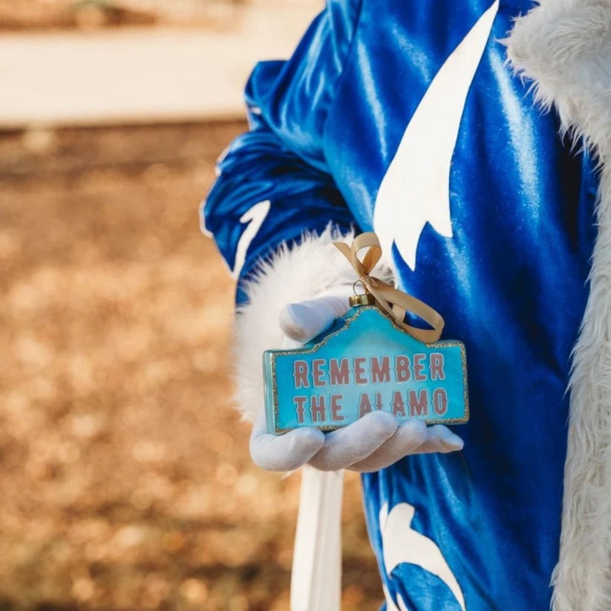 The Alamo 2025 First Edition Ornament - Joy