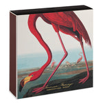 The American Flamingo | Square - Safety Matches - Joy