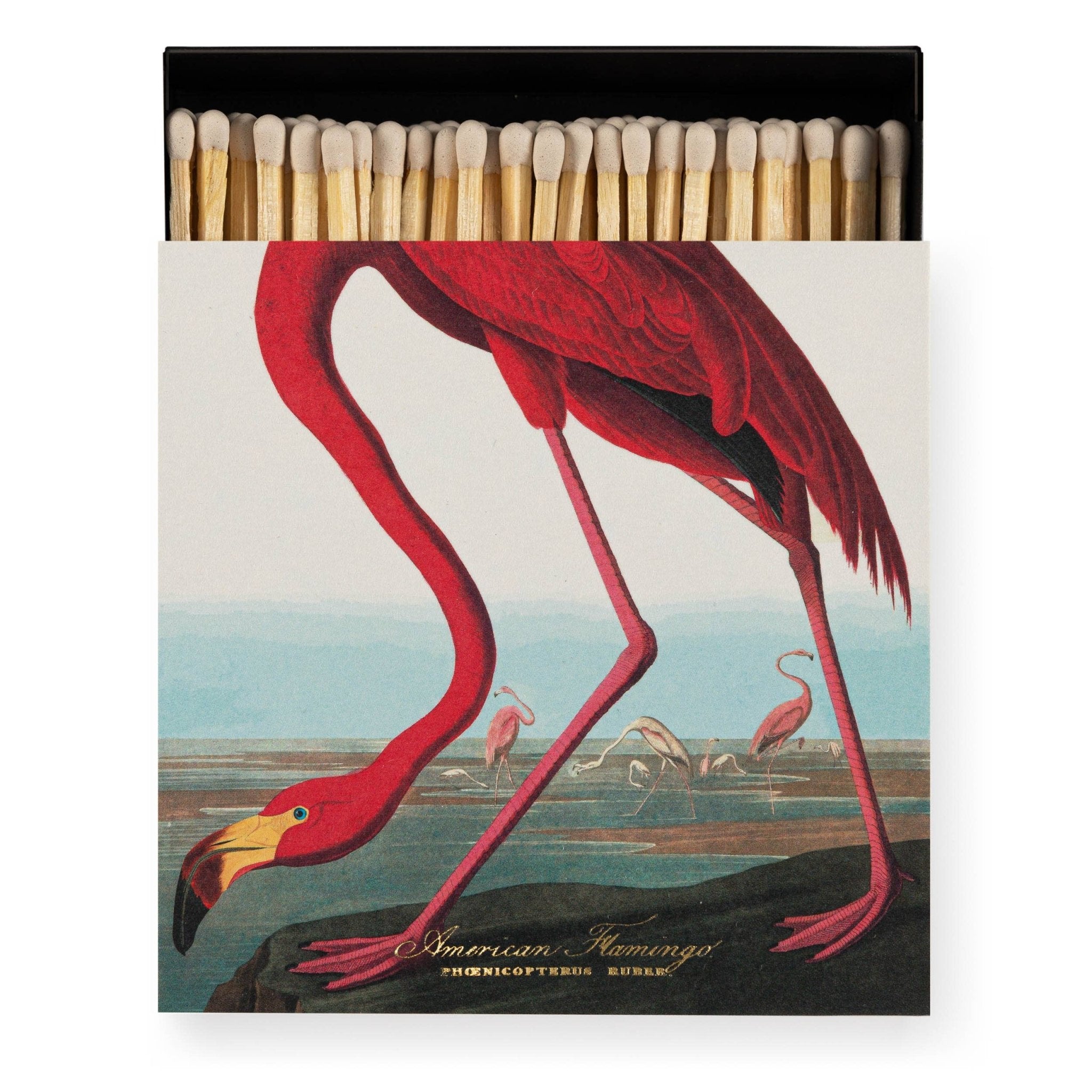 The American Flamingo | Square - Safety Matches - Joy