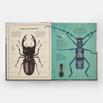 The Tomorrow Tree: How Nature Creates New Life From Old - Joy