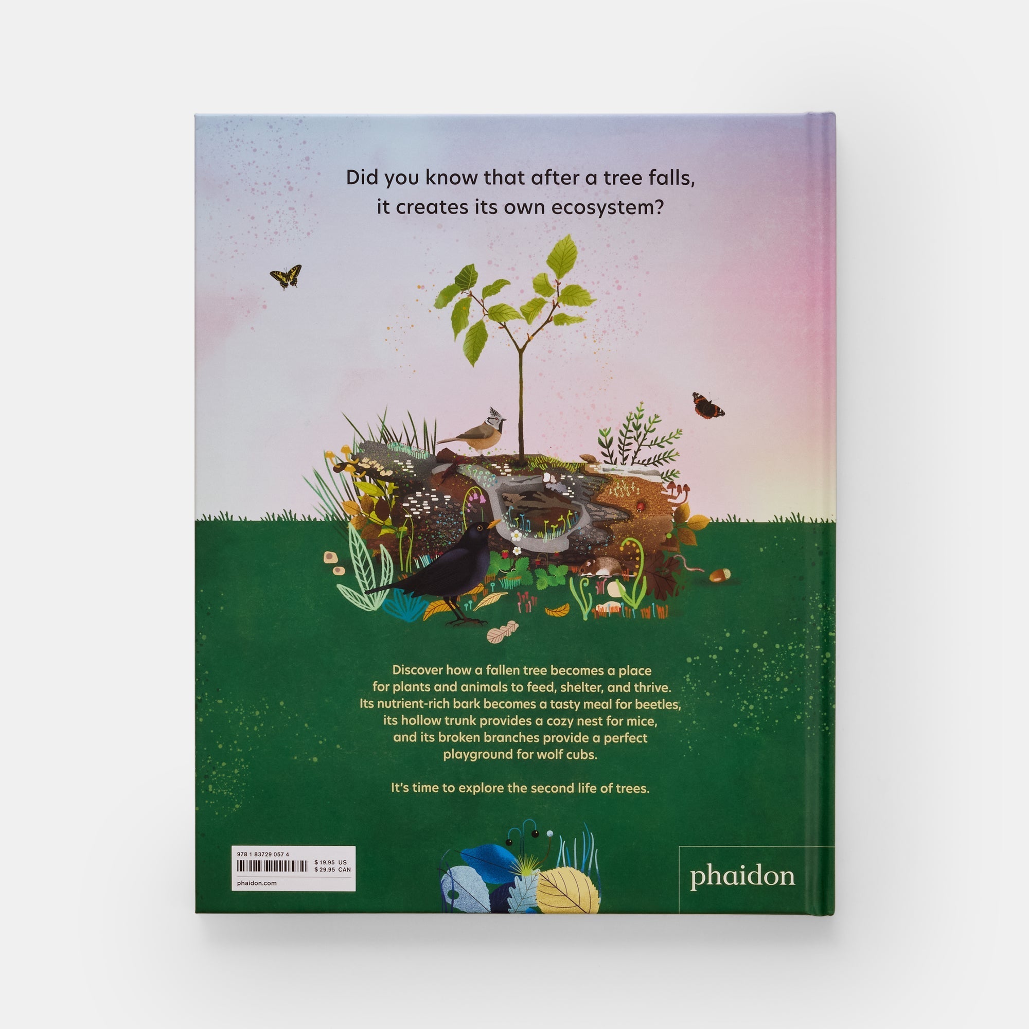 The Tomorrow Tree: How Nature Creates New Life From Old - Joy