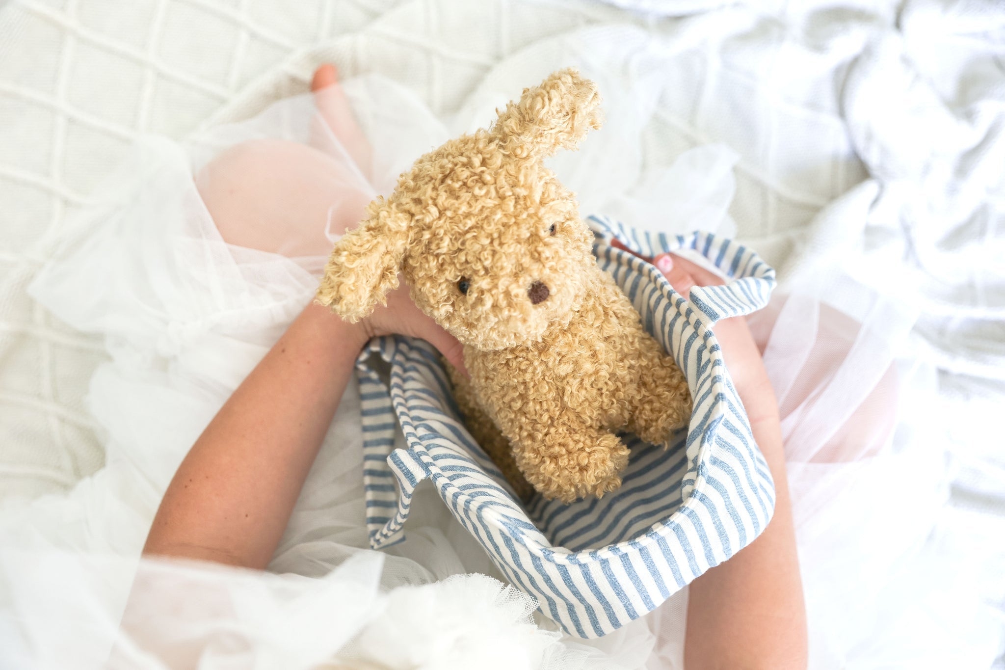Toffee the Puppy & Carrier - Joy Gift Shoppe