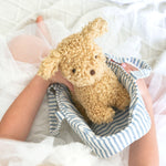 Toffee the Puppy & Carrier - Joy Gift Shoppe