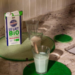 Two - Tone Felt Placemat - Chlorophyll - Mint - Joy