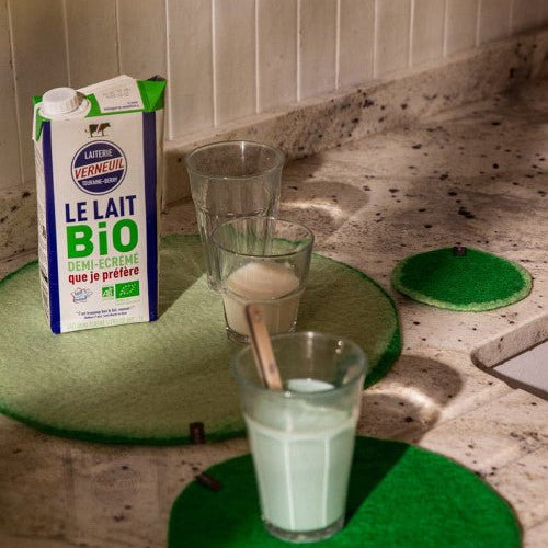 Two - Tone Felt Placemat - Chlorophyll - Mint - Joy