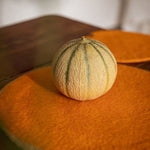 Two - Tone Felt Placemat - Nude - Apricot - Joy