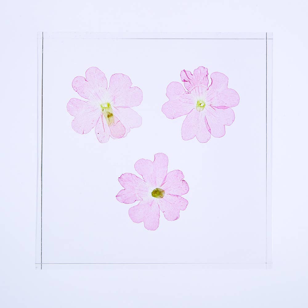 Verbena Tile - Joy Gift Shoppe