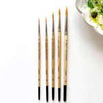 Watercolor paintbrush set - Joy