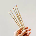 Watercolor Wood Paintbrush Set of 5 - Joy