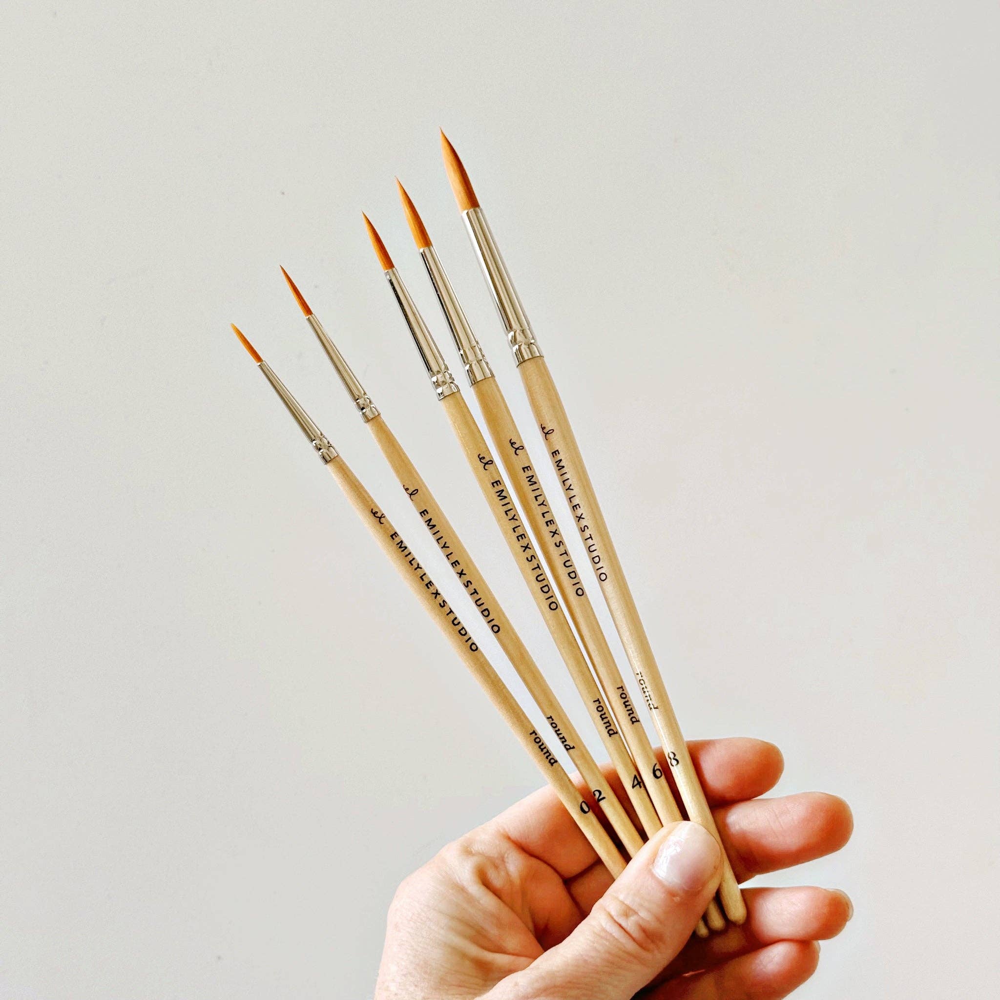 Watercolor Wood Paintbrush Set of 5 - Joy