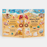 What A Shell Can Tell - Joy