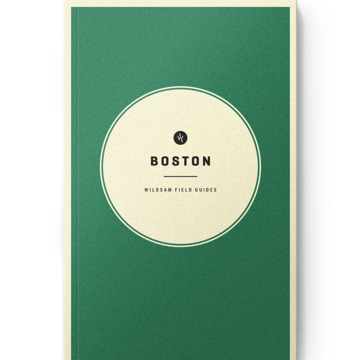 WILDSAM FIELD GUIDES: BOSTON - Joy