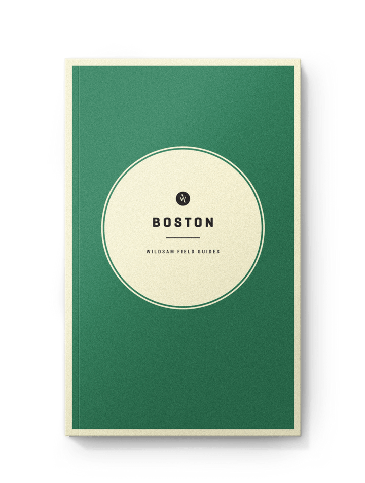 WILDSAM FIELD GUIDES: BOSTON - Joy