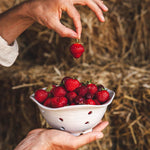 Windrow Berry Bowl - Joy