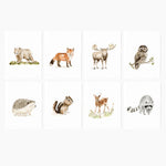 Woodland Animals Assorted Notecard Set - Joy
