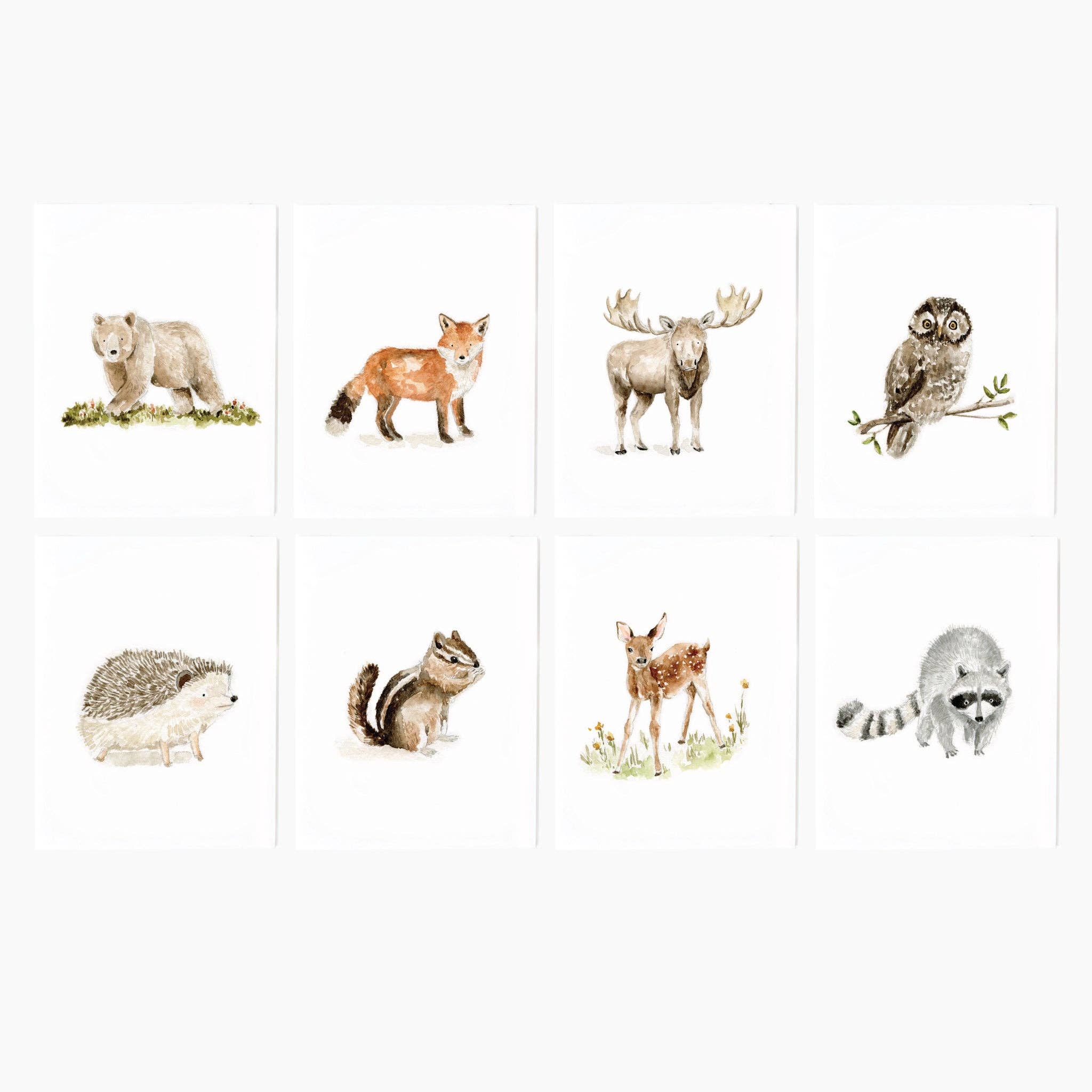 Woodland Animals Assorted Notecard Set - Joy