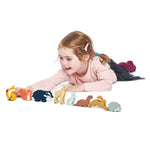 Woodland Animals Set - Joy Gift Shoppe