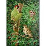 Woodpecker, Owl and Thrush Liberty Puzzle - Joy