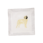Yellow Labrador Retriever - Joy