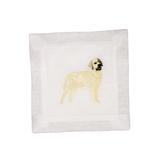 Yellow Labrador Retriever - Joy