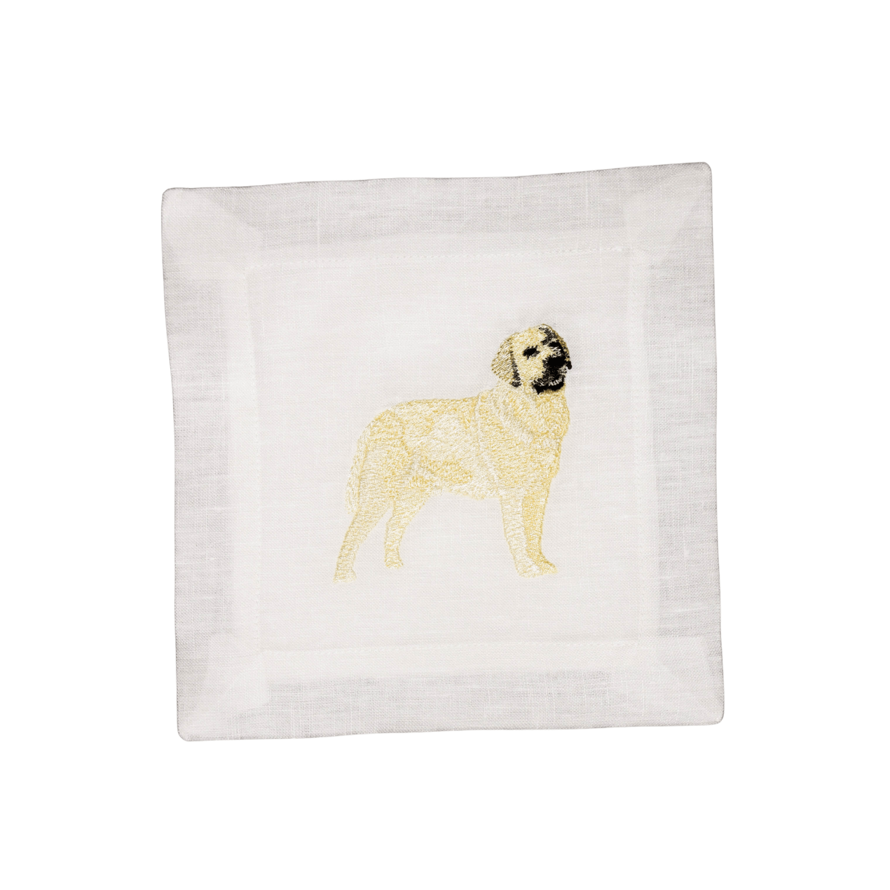 Yellow Labrador Retriever - Joy