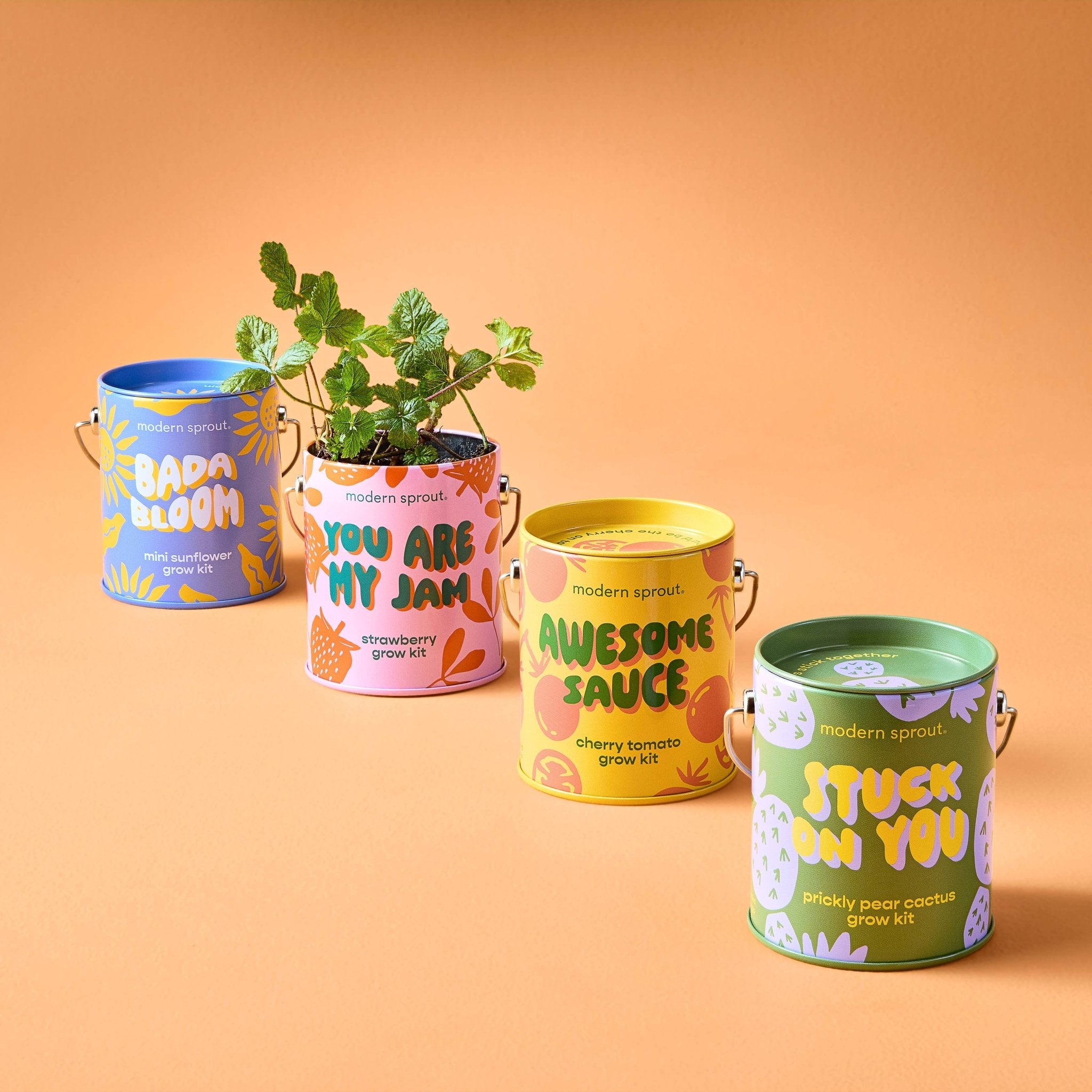 You are My Jam - Strawberry Grow Kit - Joy