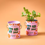 You are My Jam - Strawberry Grow Kit - Joy