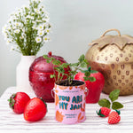 You are My Jam - Strawberry Grow Kit - Joy