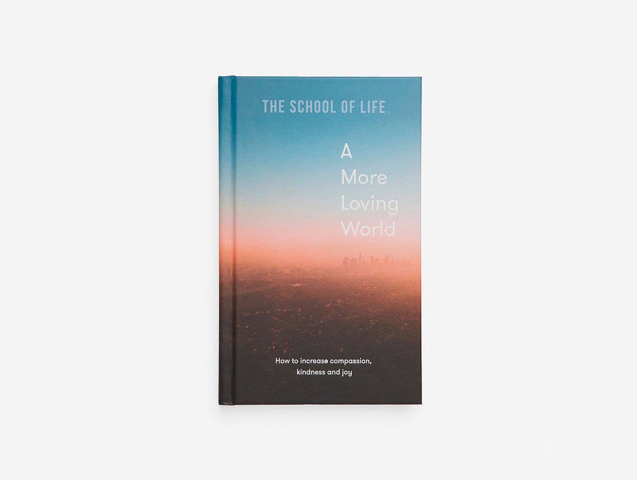 A More Loving World Book - Joy