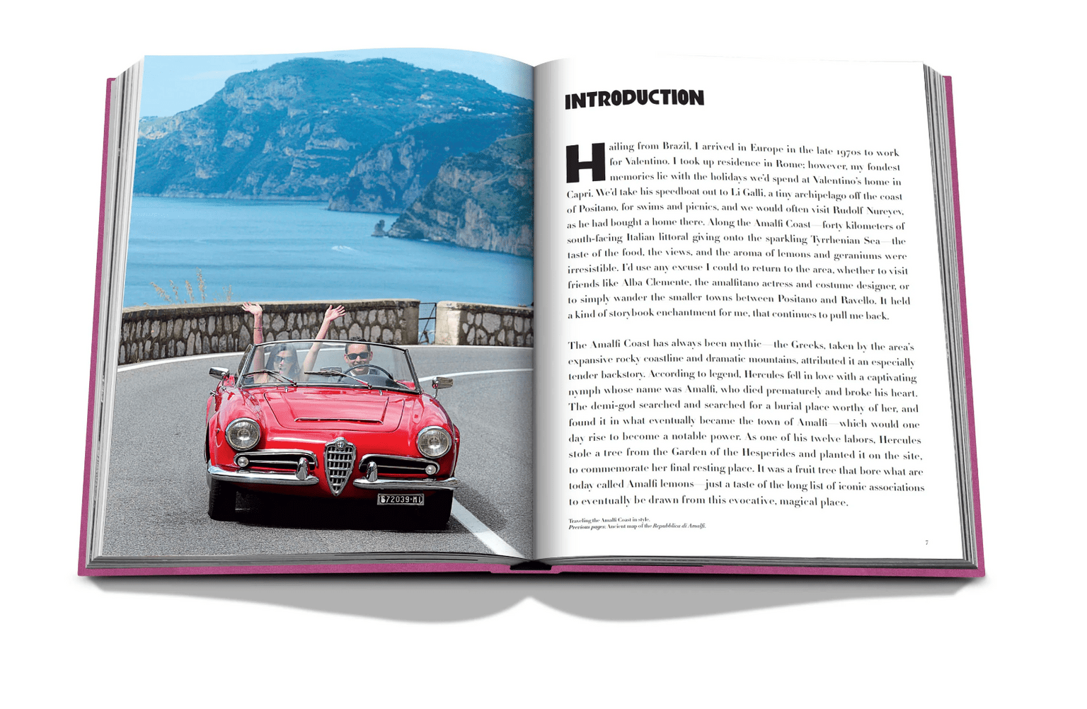 Amalfi Coast Travel Book - Joy