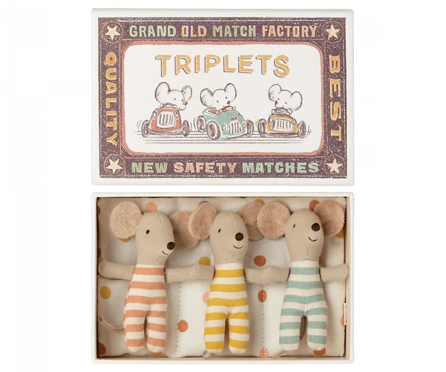 Baby Triplets in a Matchbox - Joy