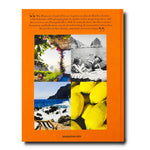 Capri Dolce Vita Travel Book - Joy