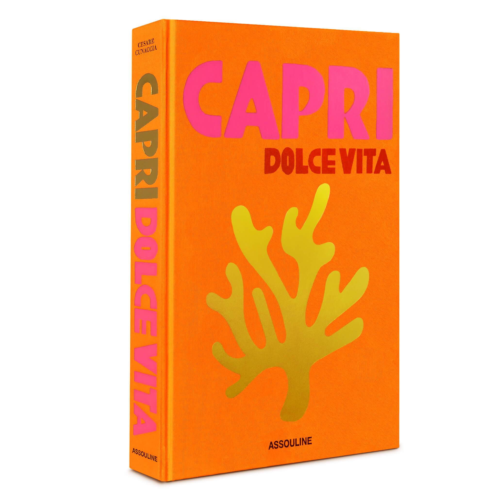 Capri Dolce Vita Travel Book - Joy