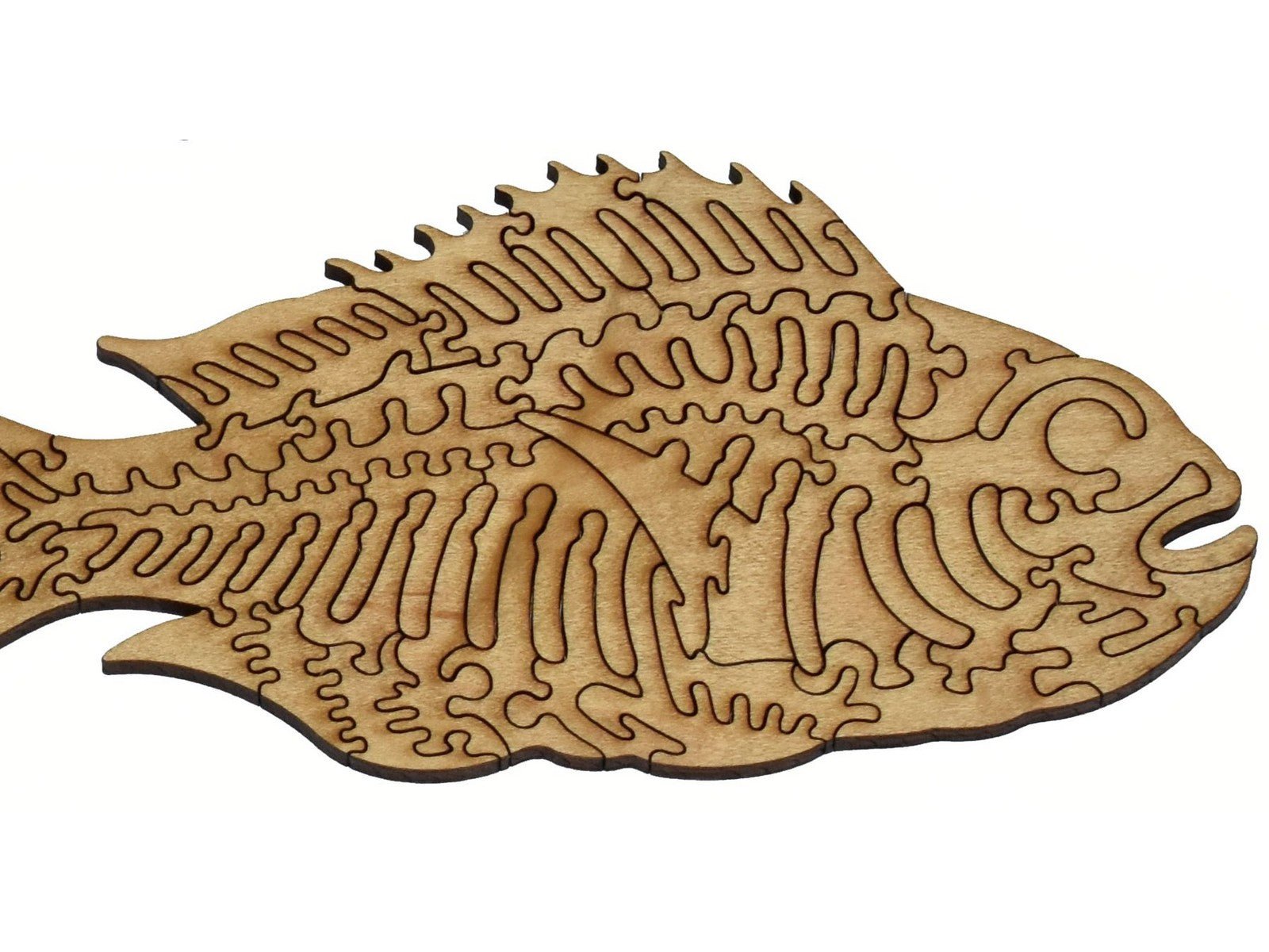 Colorful Fish of the East Indies Puzzle - Joy