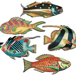 Colorful Fish of the East Indies Puzzle - Joy