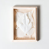 HA KO Paper Incense, Small - Joy