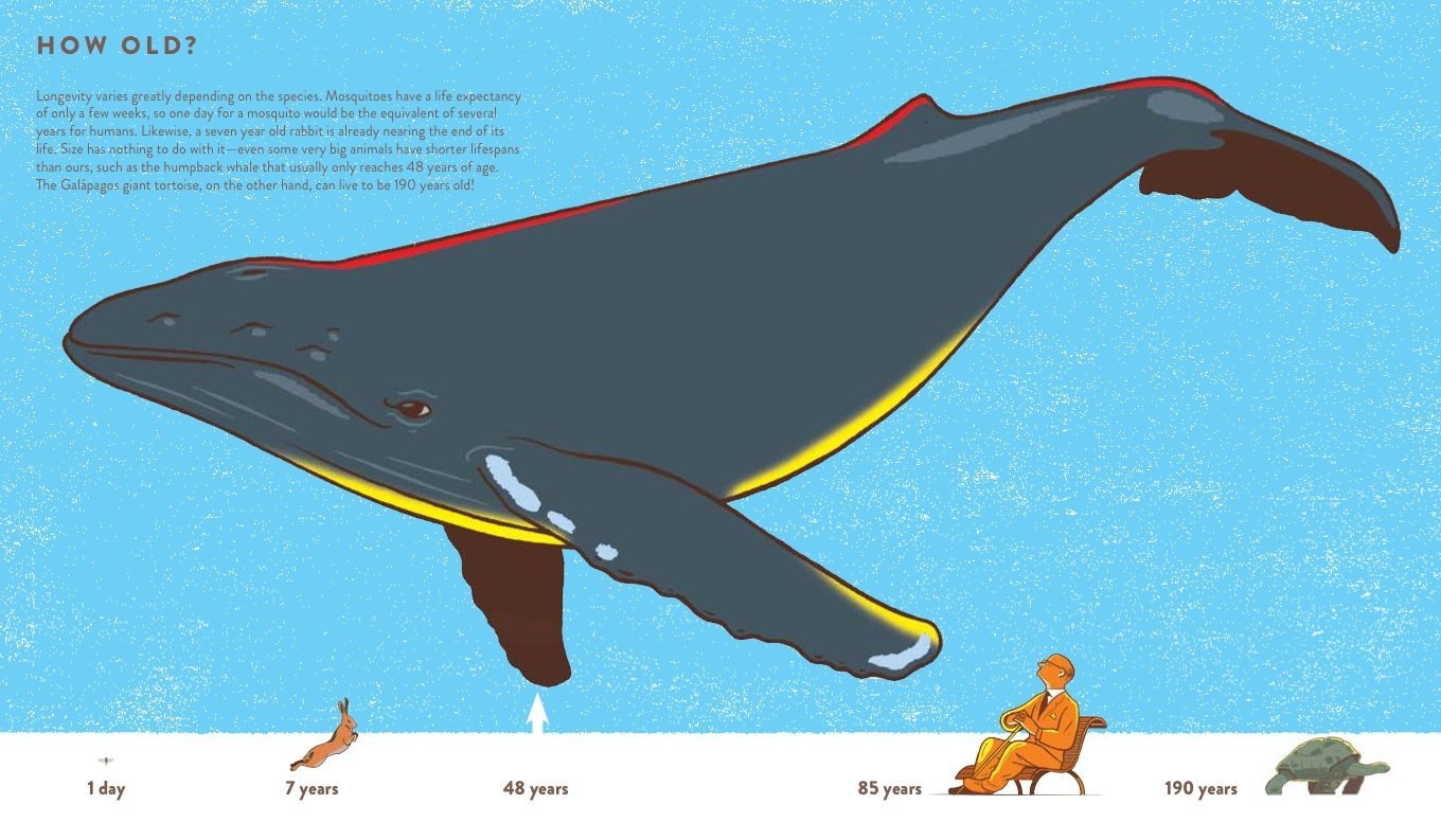 "How big is big? How far is far?" Book - Joy