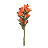 Indian Paint Felt Flower - Joy