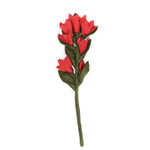 Indian Paint Felt Flower - Joy