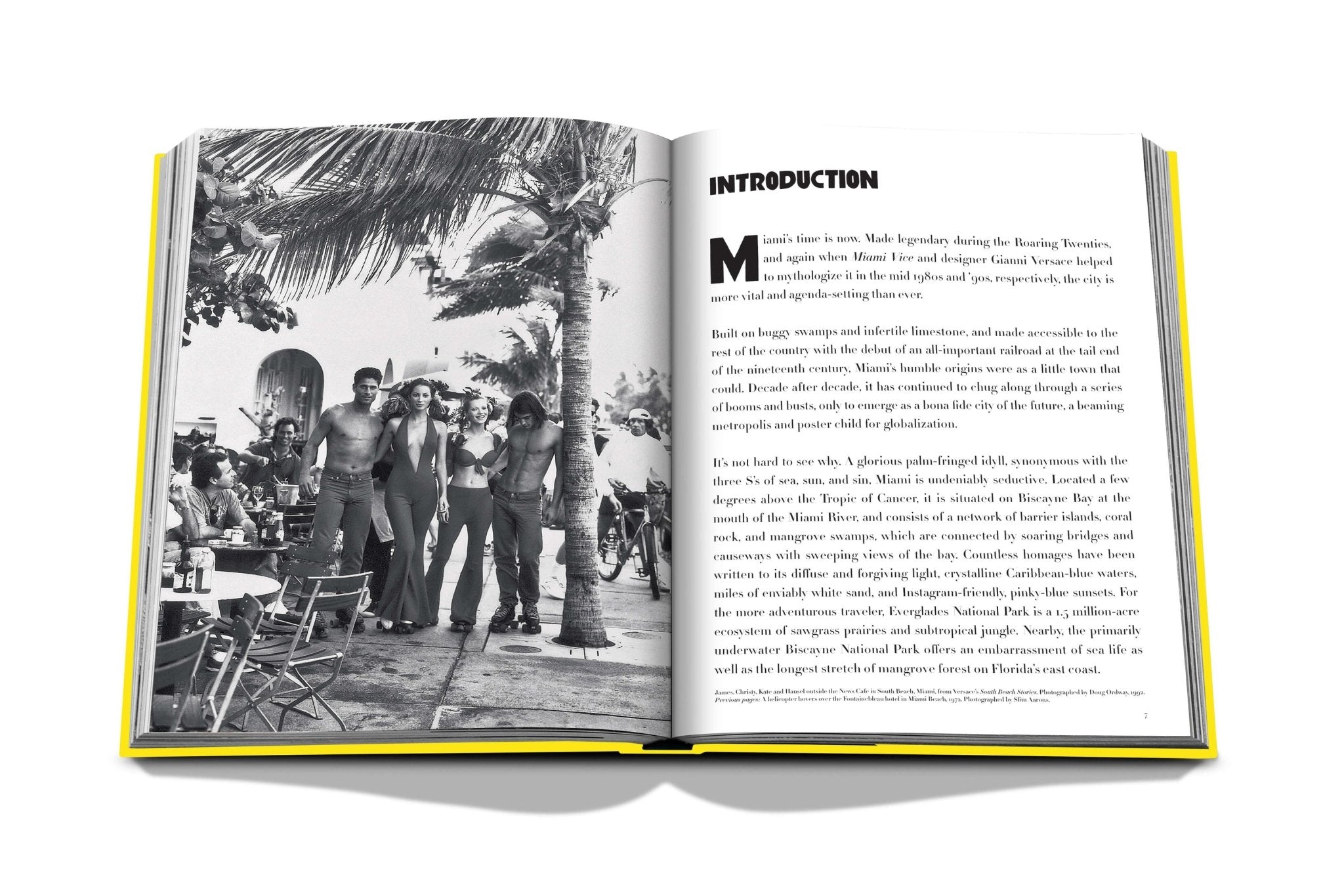 Miami Beach Travel Book - Joy