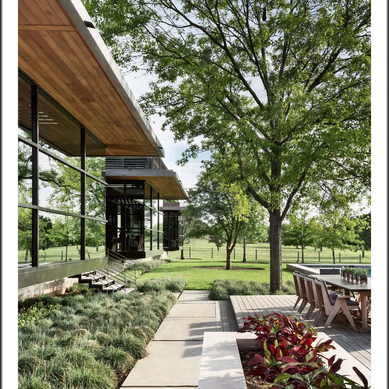 New Texas Modern: The New Modern - Joy