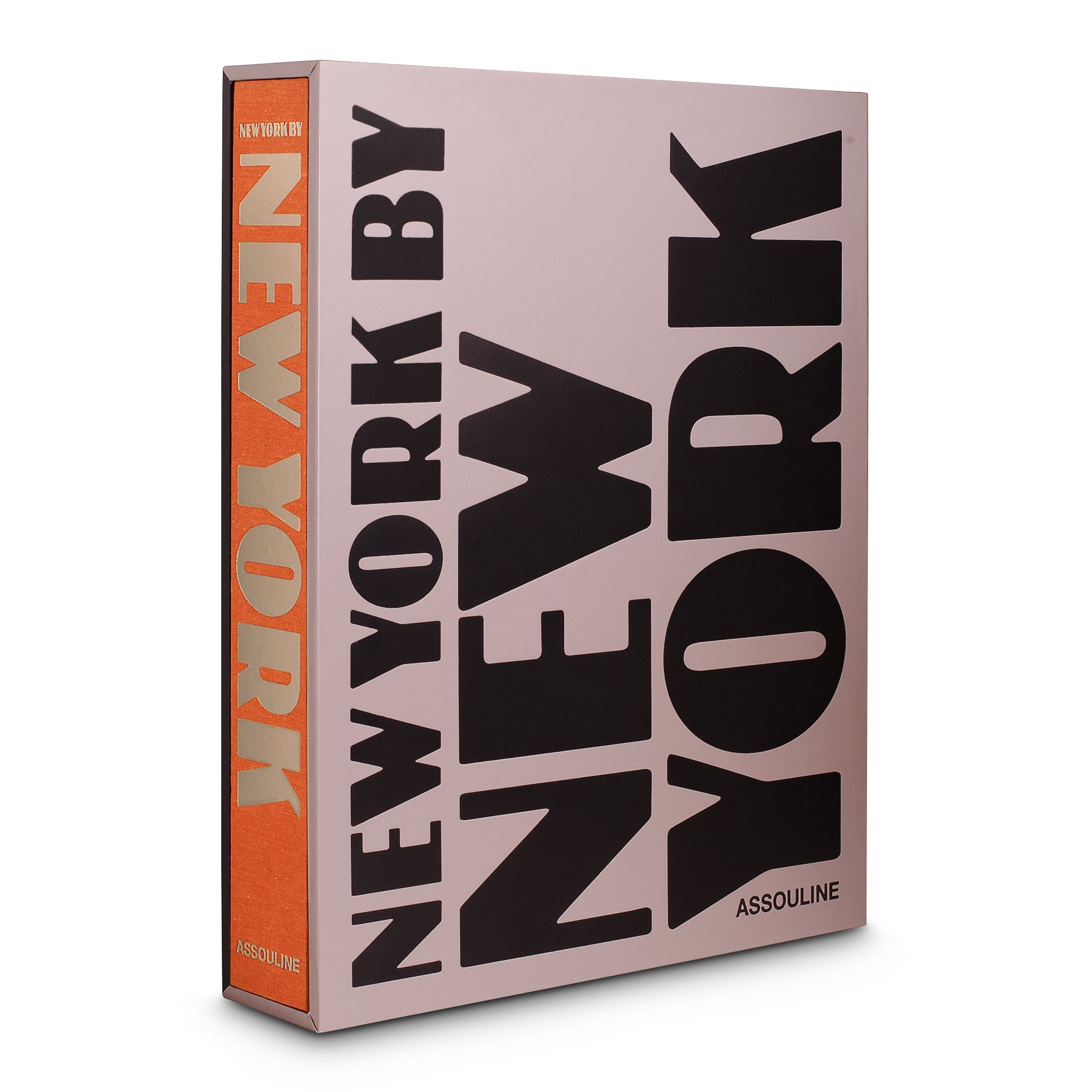 NY by NY Travel Book - Joy