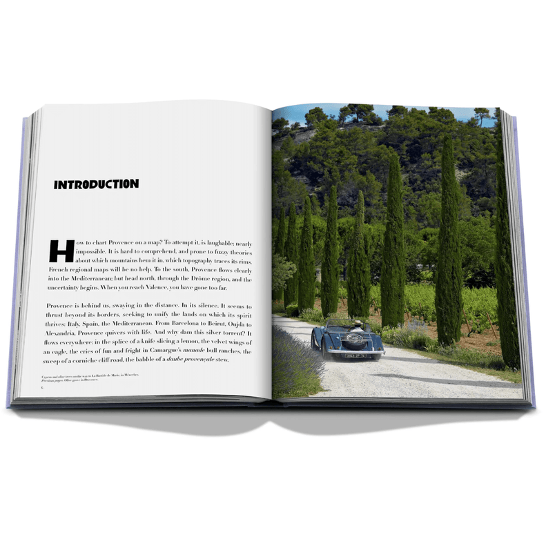 Provence Glory Travel Book - Joy